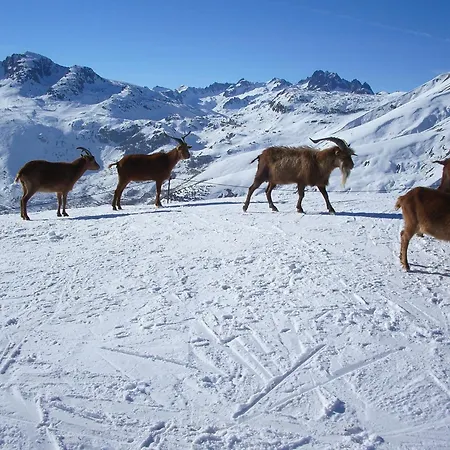 D'hotes Kiki & Coco Saint-Jean-de-Maurienne